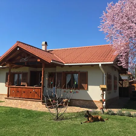 - Zsory Sakura * Mezokovesd